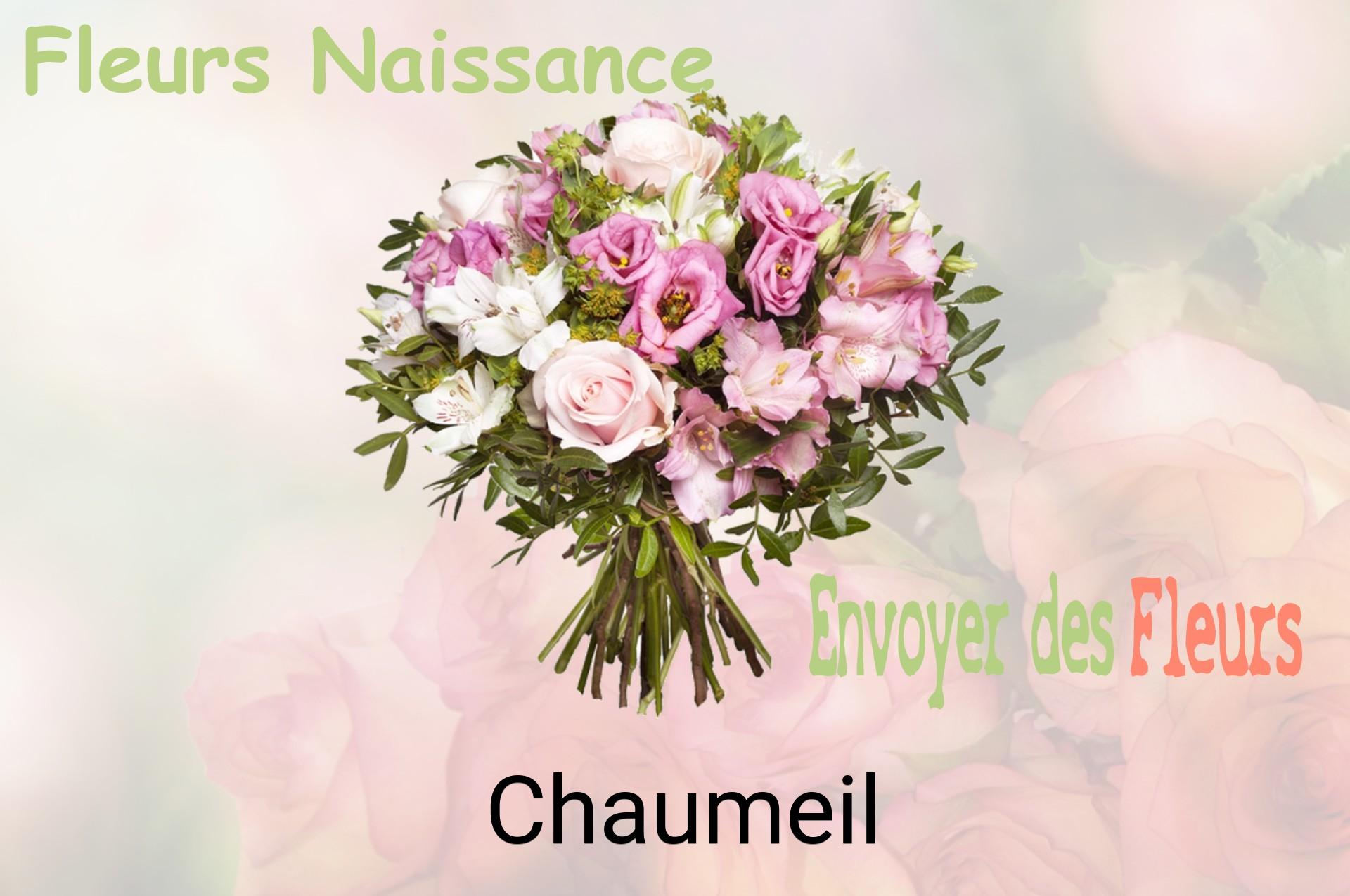 Bouquet de fleurs de naissance livré à Chaumeil